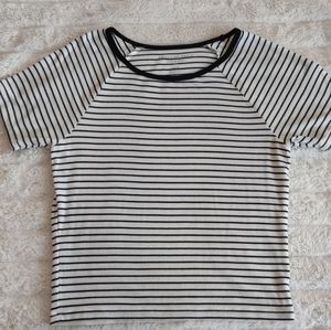 American Eagle (soft & sexy rib)